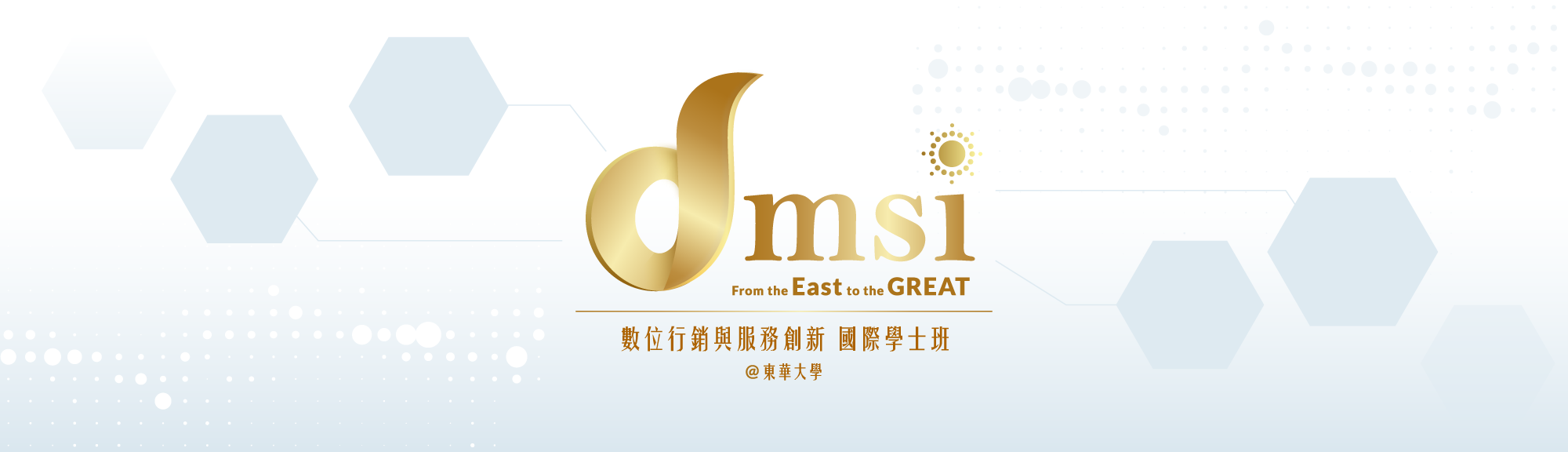DMSI